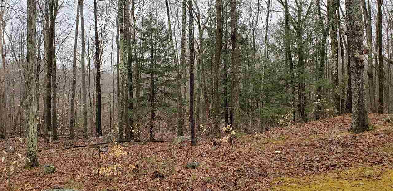 325 Mountain Avenue - Photo 1