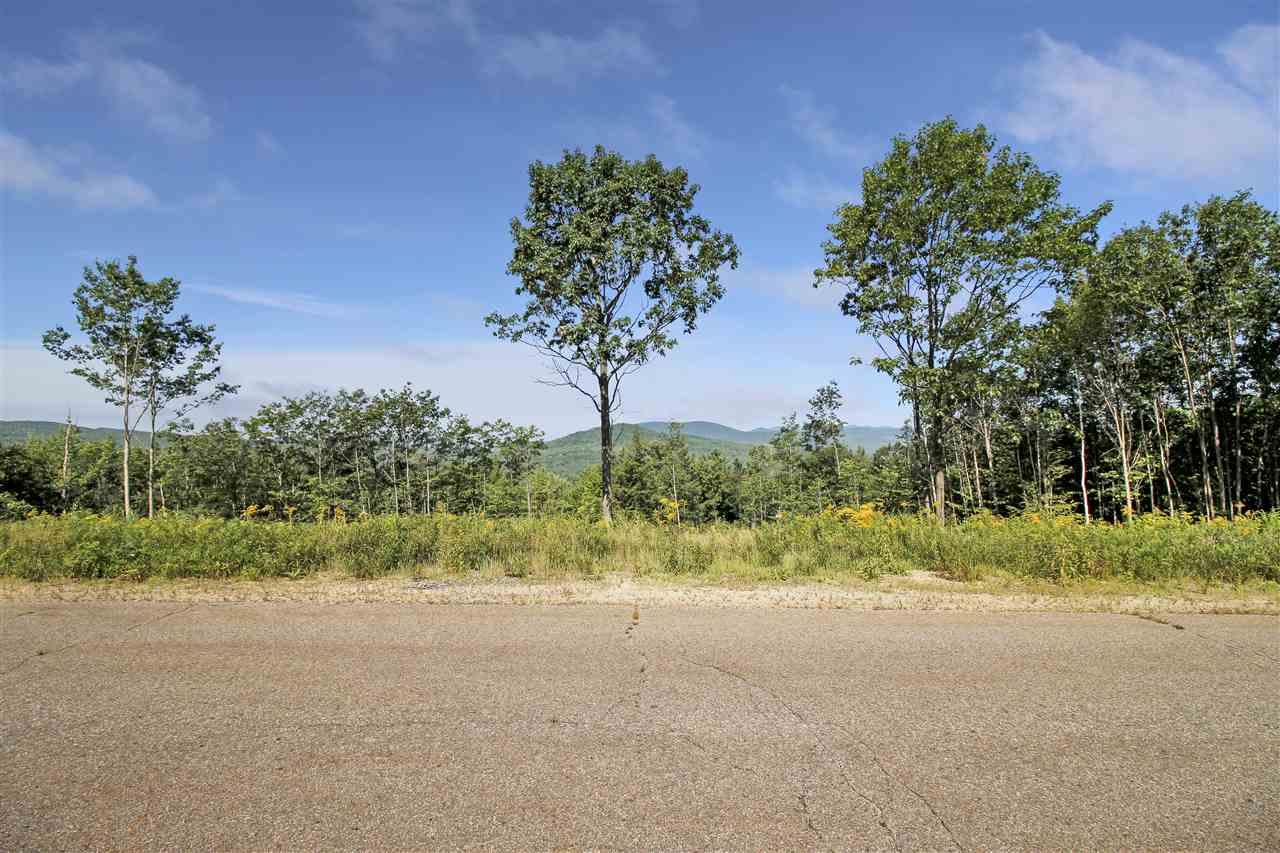 00 Lilac Lane - Photo 1