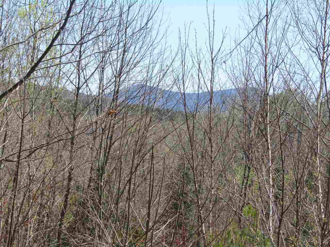 00 Bradley Hill Road - Photo 1