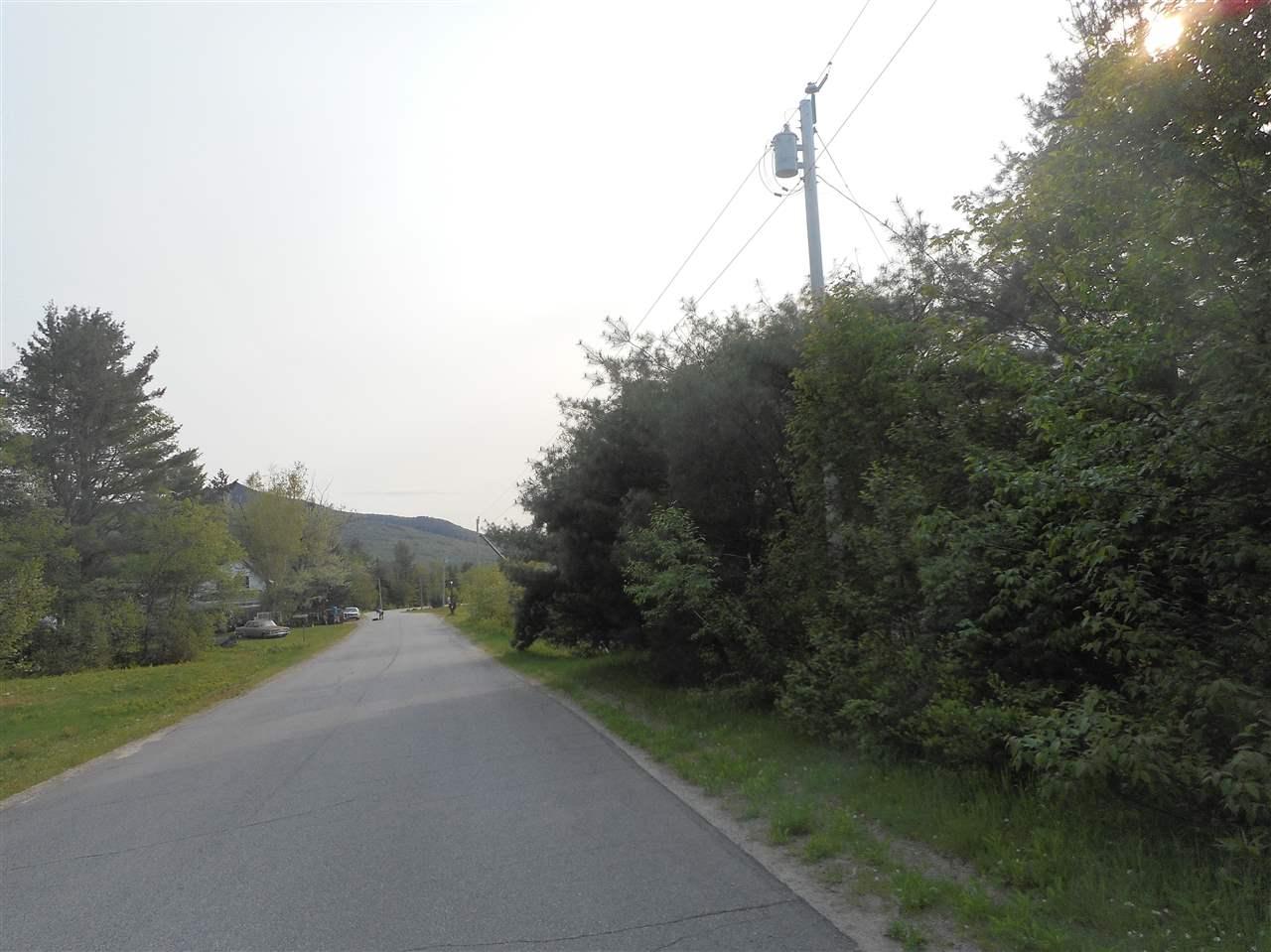 33G Israels River Road - Photo 1