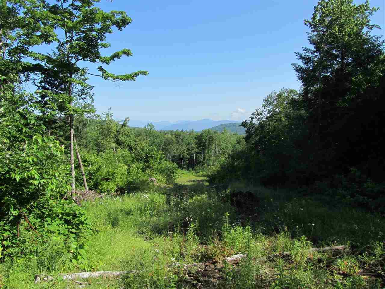 0 Stewart/Foss Mountain Road - Photo 1