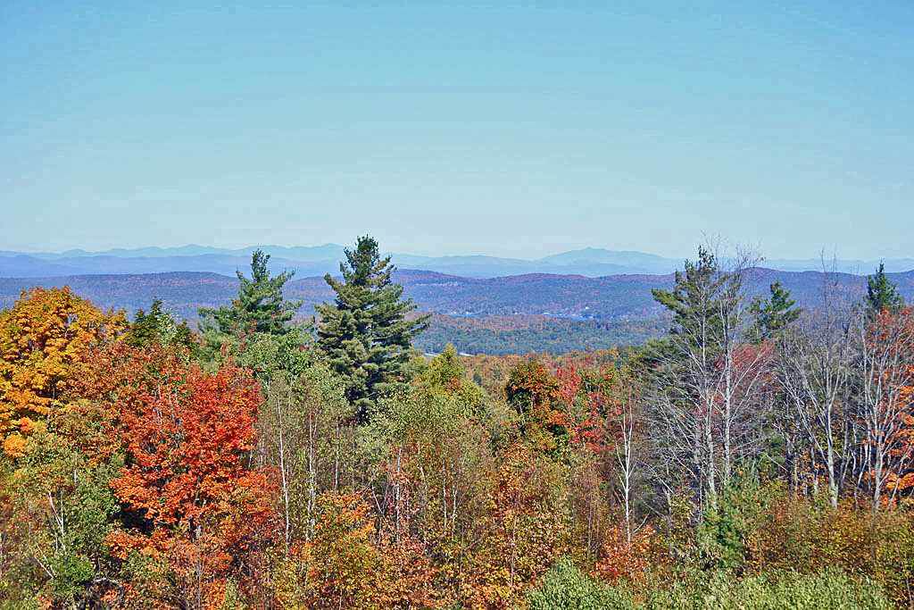1461 Pond Hill Road - Photo 1