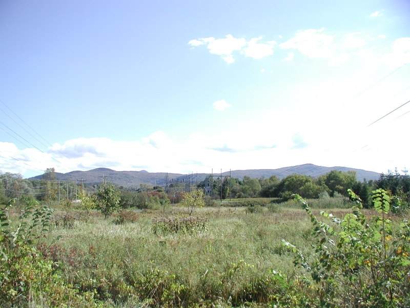 2135 Post Road - Photo 1