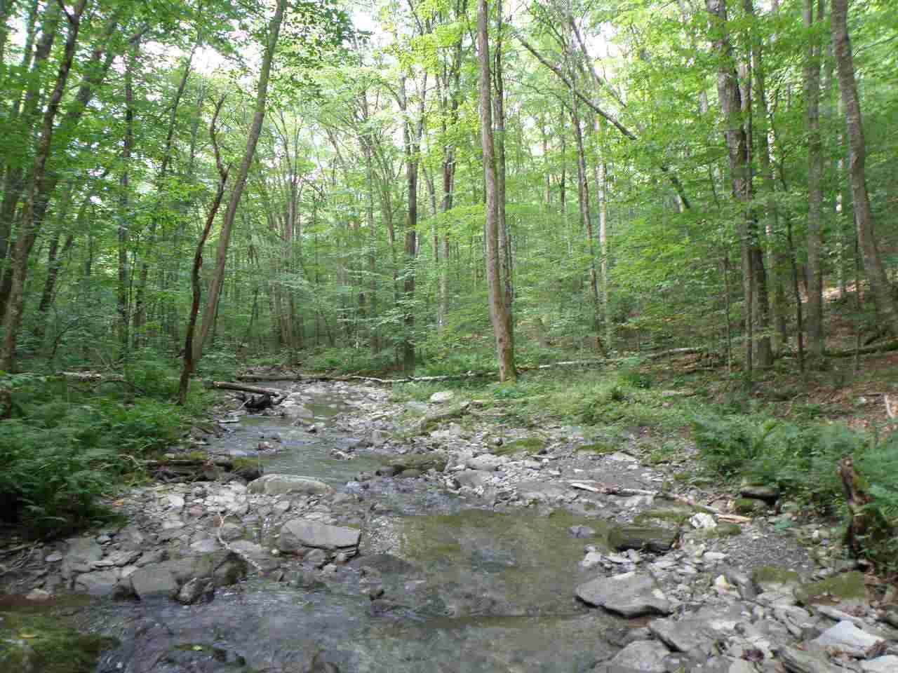 0 Rupert Road - Photo 1