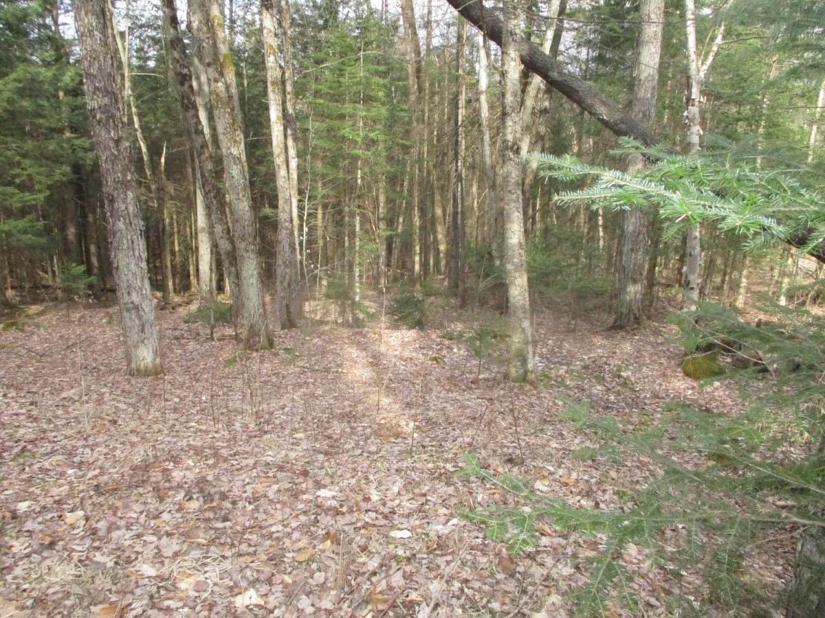 Lot 8 Sugar Ridge Lane - Photo 1 Lot 8 Sugar Ridge Lane - Photo 1