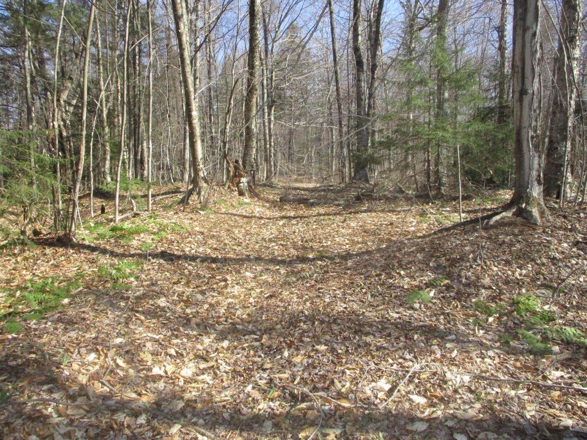 000 Thompson Hill Road - Photo 1 000 Thompson Hill Road - Photo 1