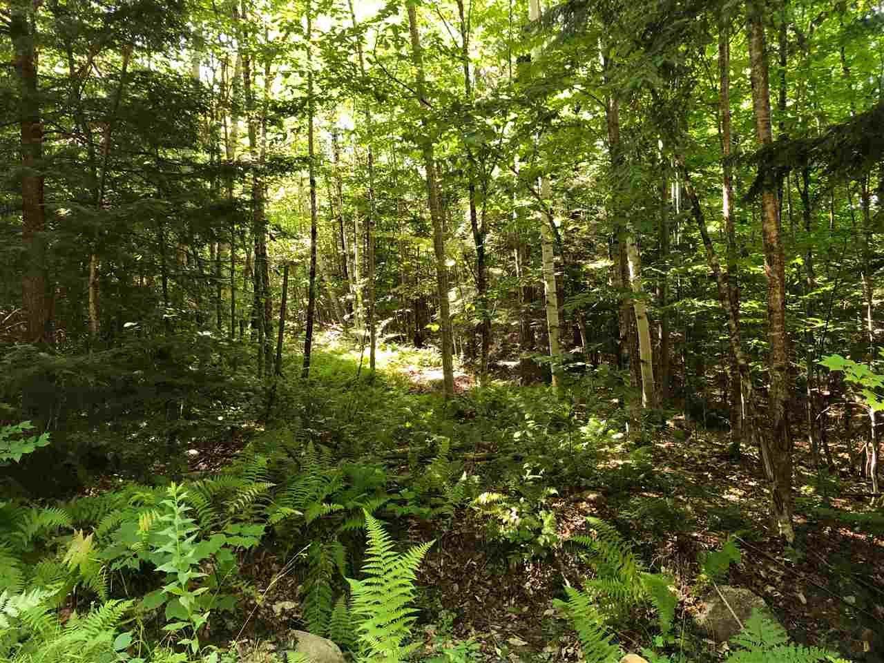 0 Drake Hill Road - Photo 1