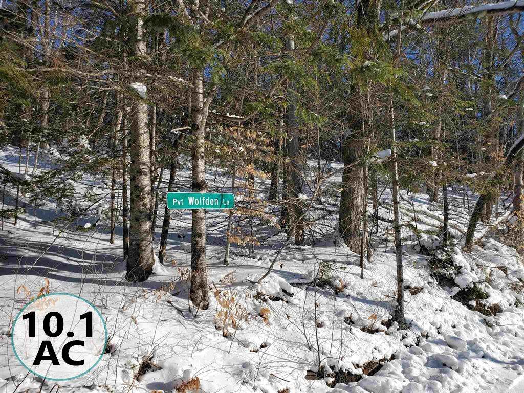 00 Wolf Den Road - Photo 1