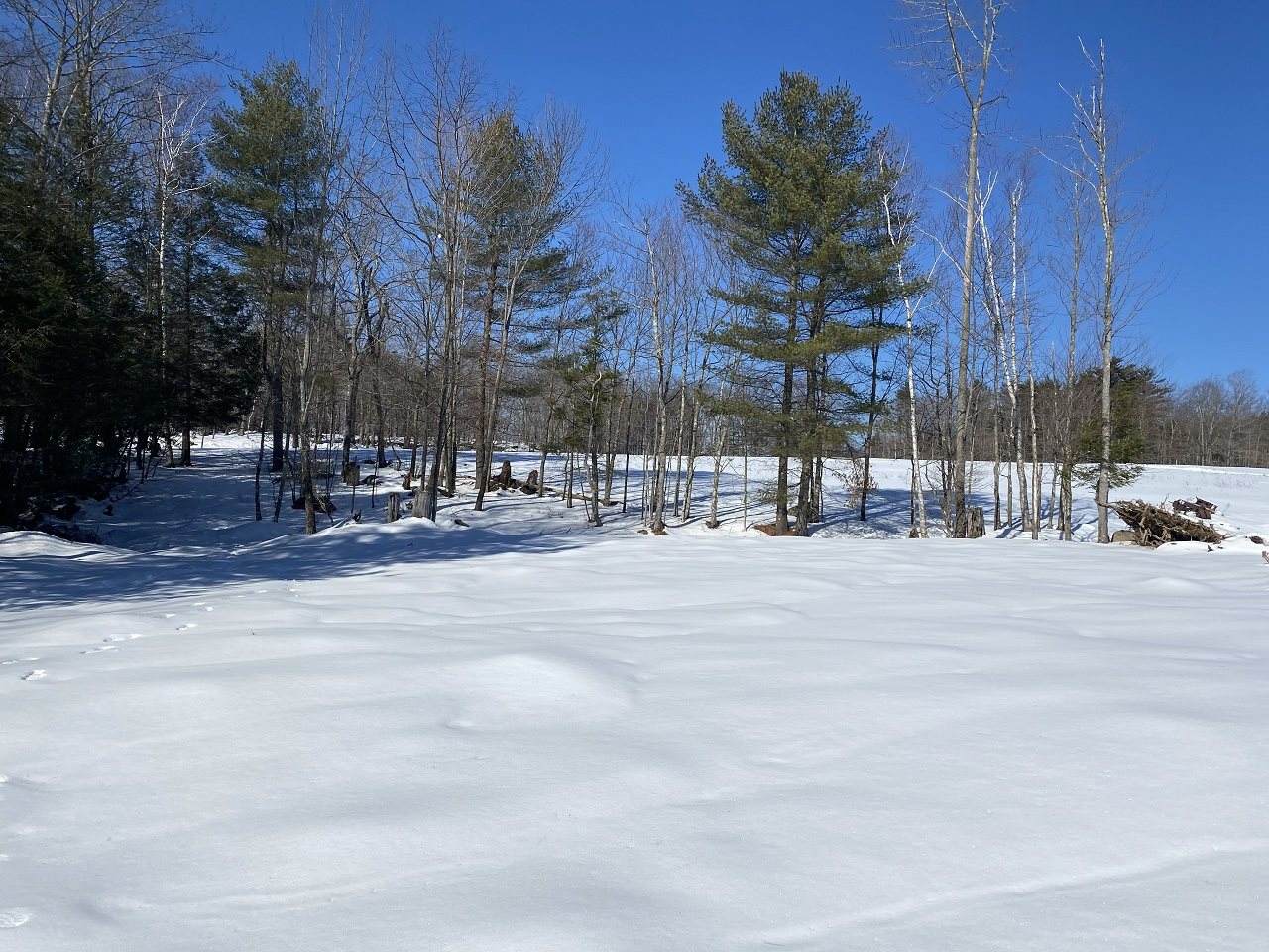 469-2 South Road - Photo 1