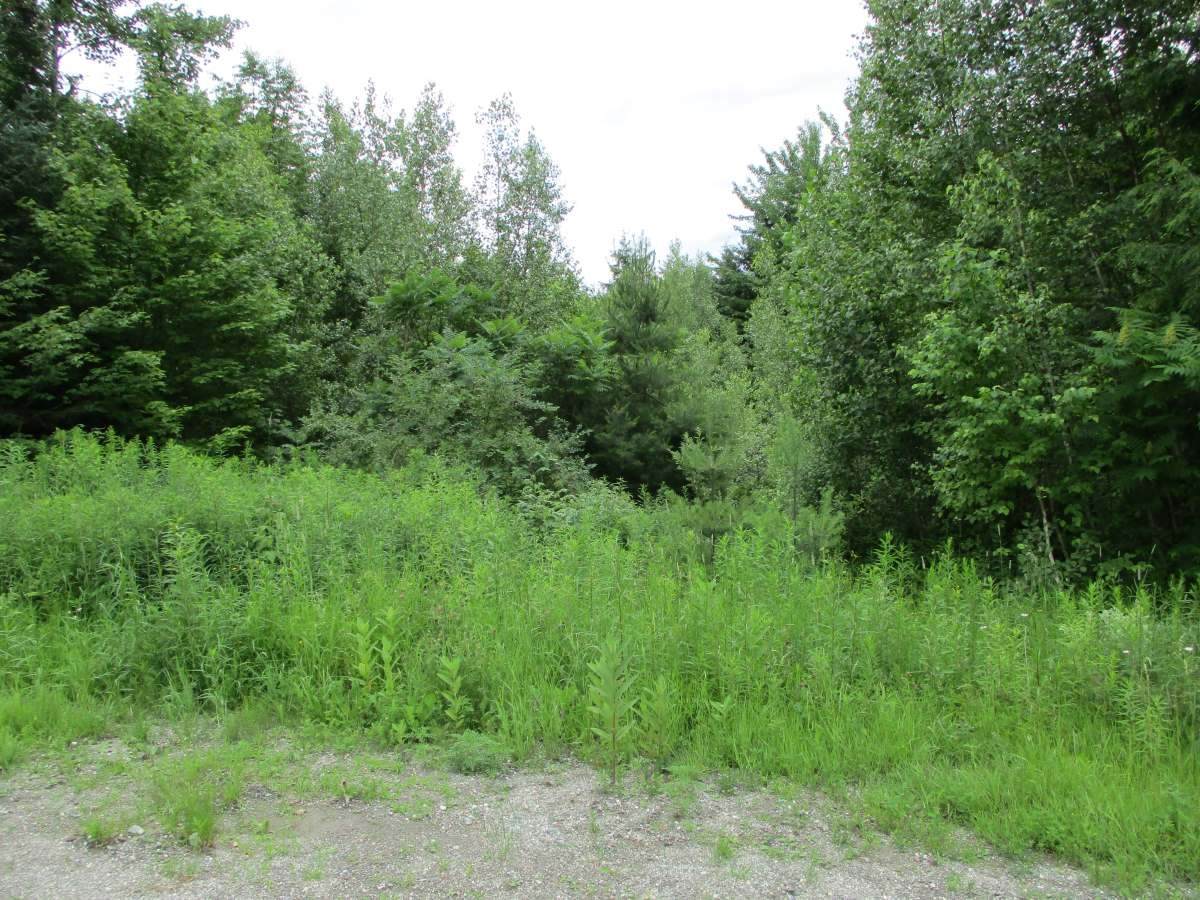 000 Dukes Road - Photo 1