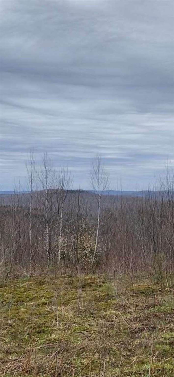 Lot 2 Diggins Road - Photo 1
