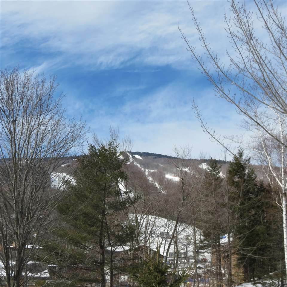 2 Spaulding Farm Road - Photo 1