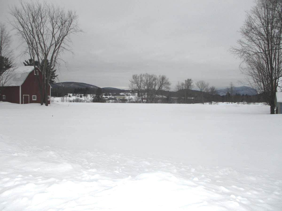 307 Ferry Street - Photo 1