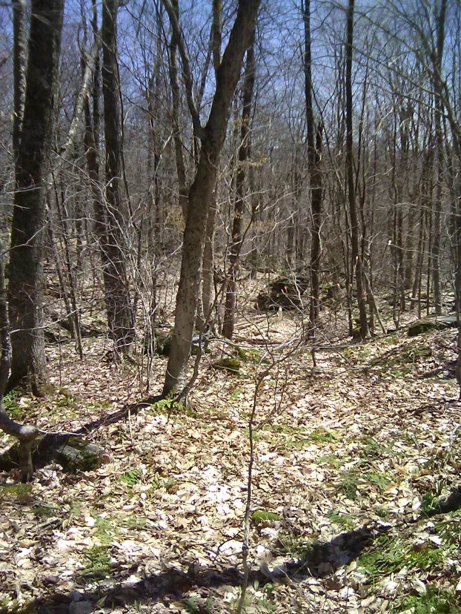 Off Warren Road - Photo 1