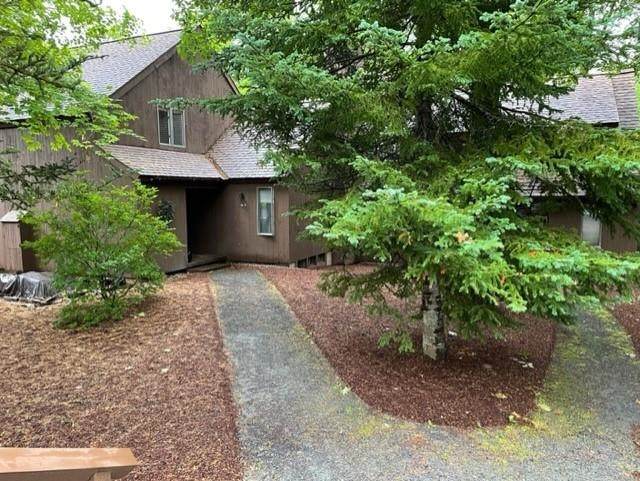 4 Bay Tree Lane - Photo 1
