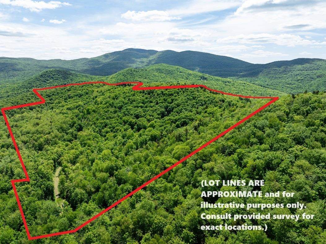 00 Deep Gibou Road - Photo 1