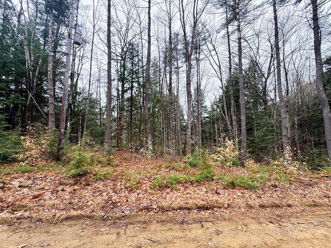 0000 Cedar Drive - Photo 1