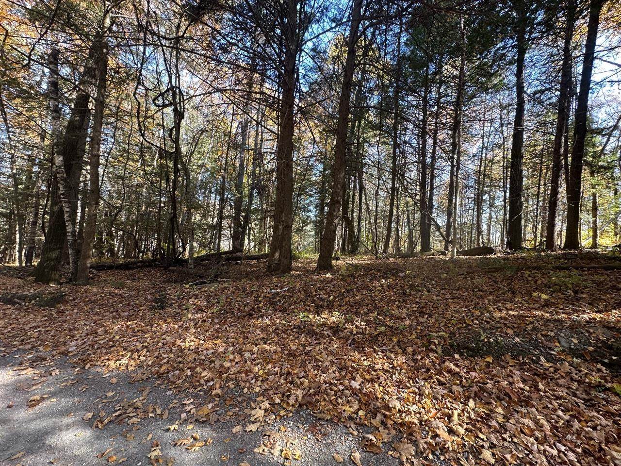 184 Dupre Drive - Photo 1