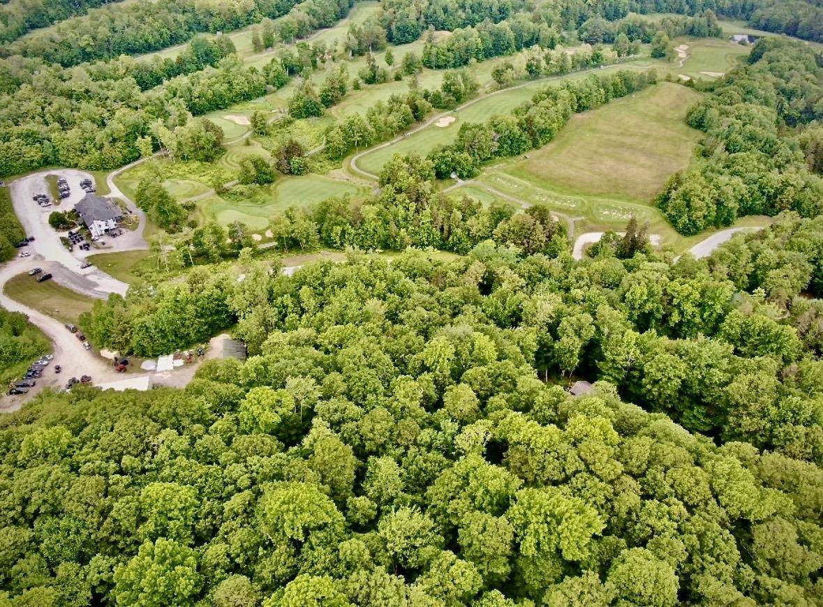 LOT 12 Barrows Towne Road - Photo 1