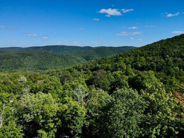 S-1c Great Roaring Brook Road - Photo 1