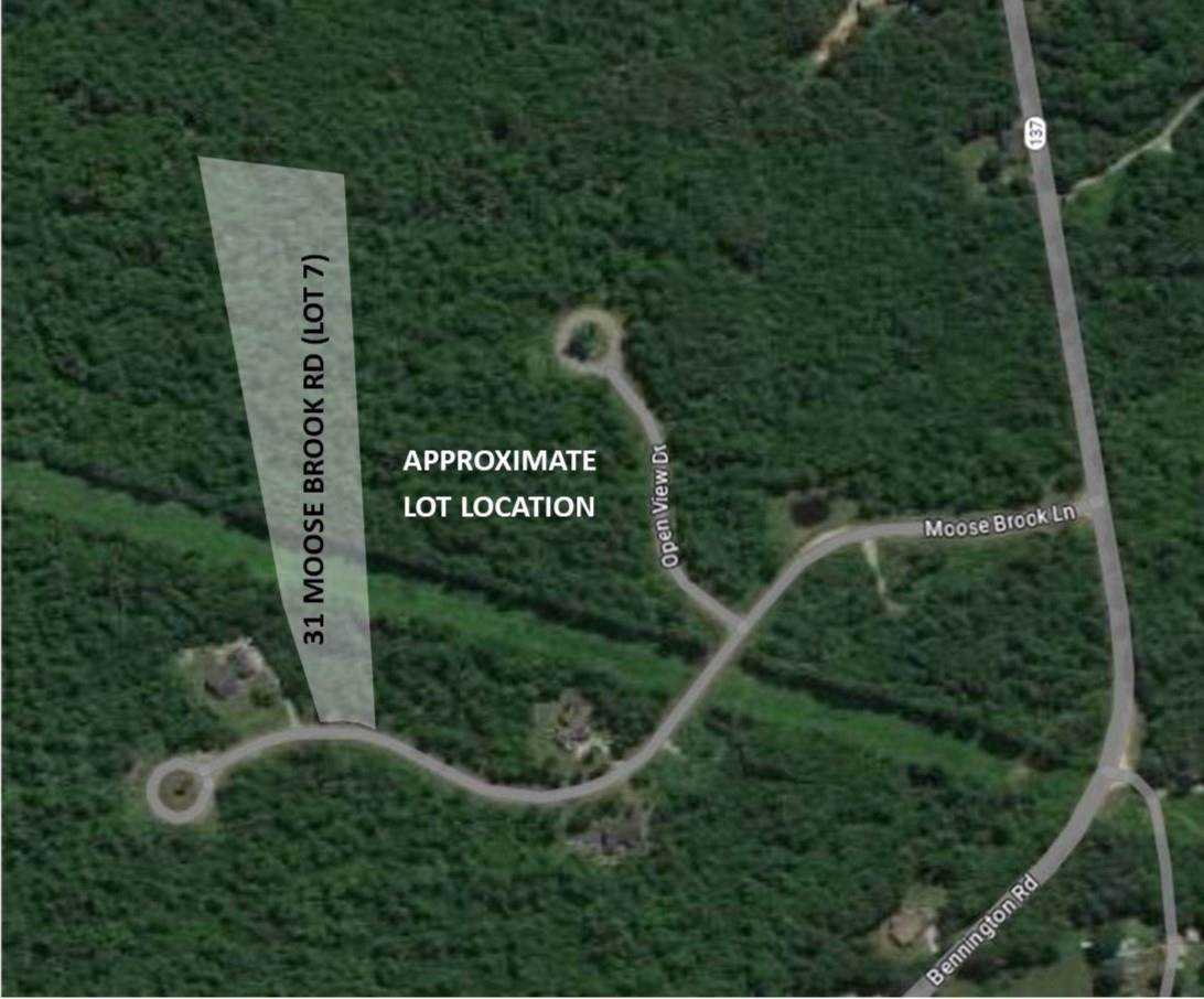 31 Moose Brook Lane - Photo 1