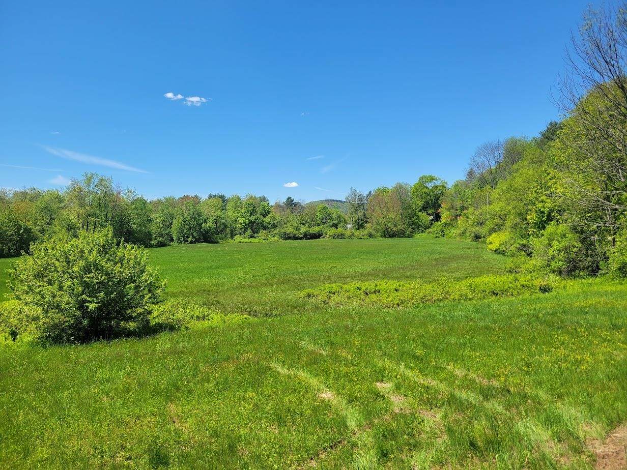 Lot91 Eastern District Road - Photo 1