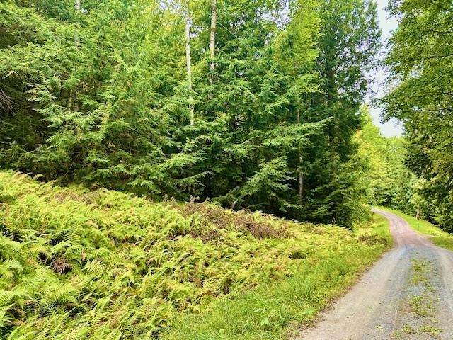  Longfellow Road - Photo 1