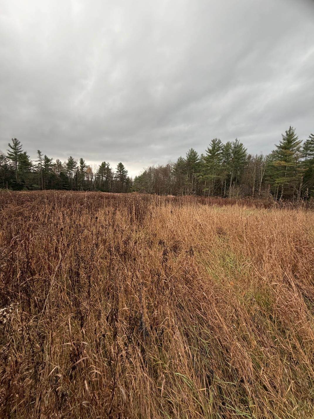 334 North Cambridge Road - Photo 1