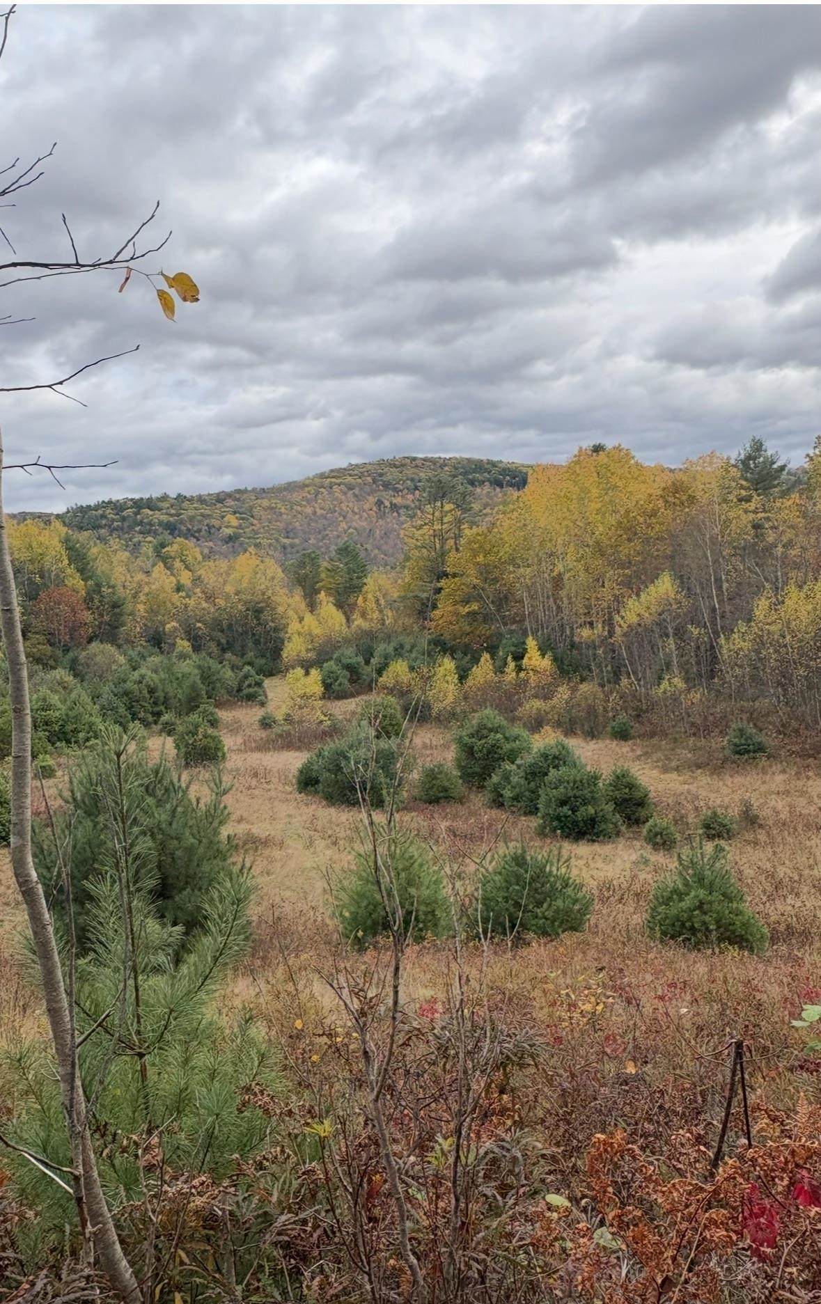 Lot 4 Catterall Road - Photo 1