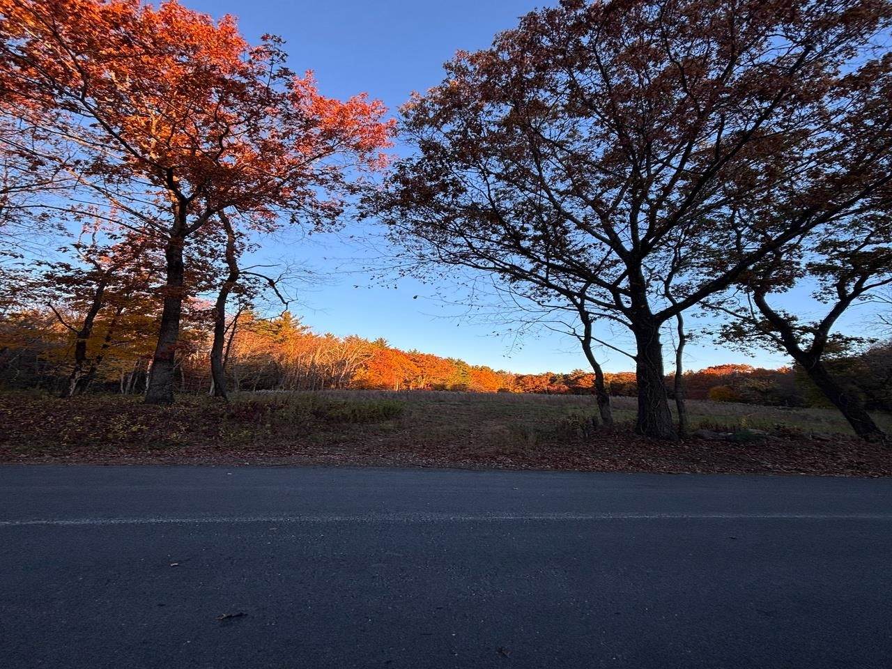 007-056 Mack Hill Road - Photo 1