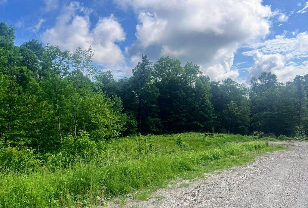41 Moose Hollow Road - Photo 1