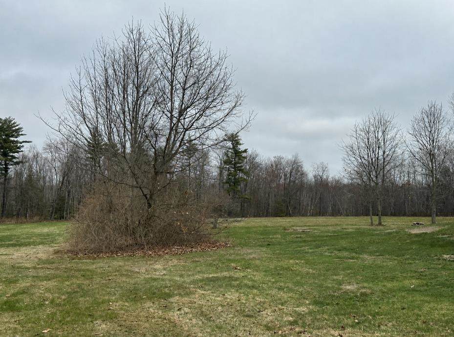 0 Salmon Falls Road - Photo 1