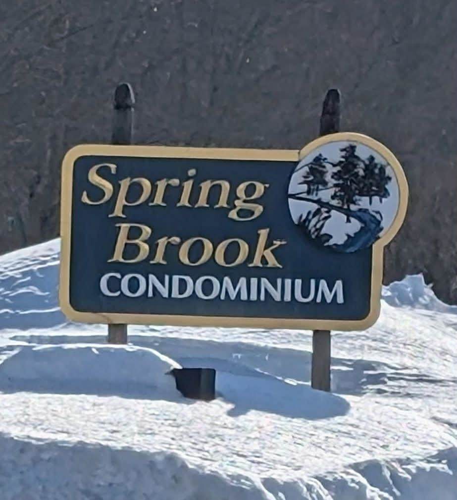 414 Springbrook Circle - Photo 1