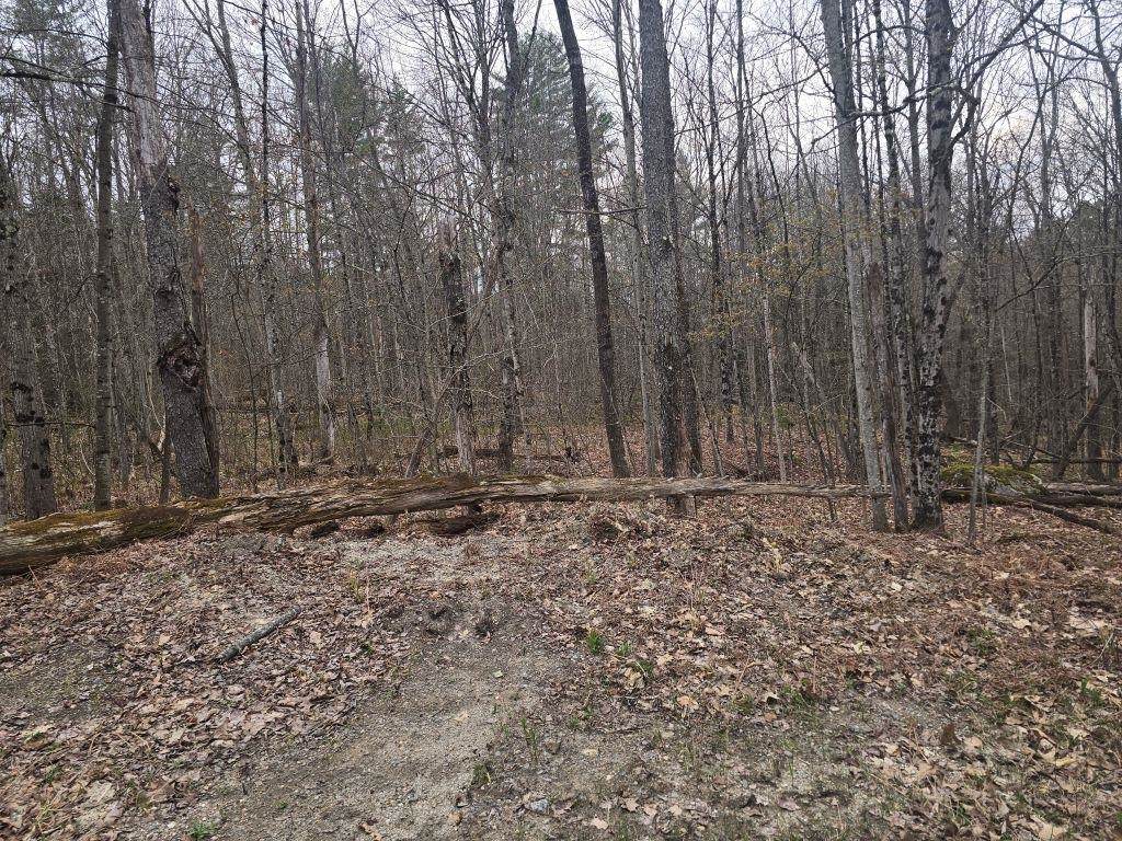  Copeland Road - Photo 1