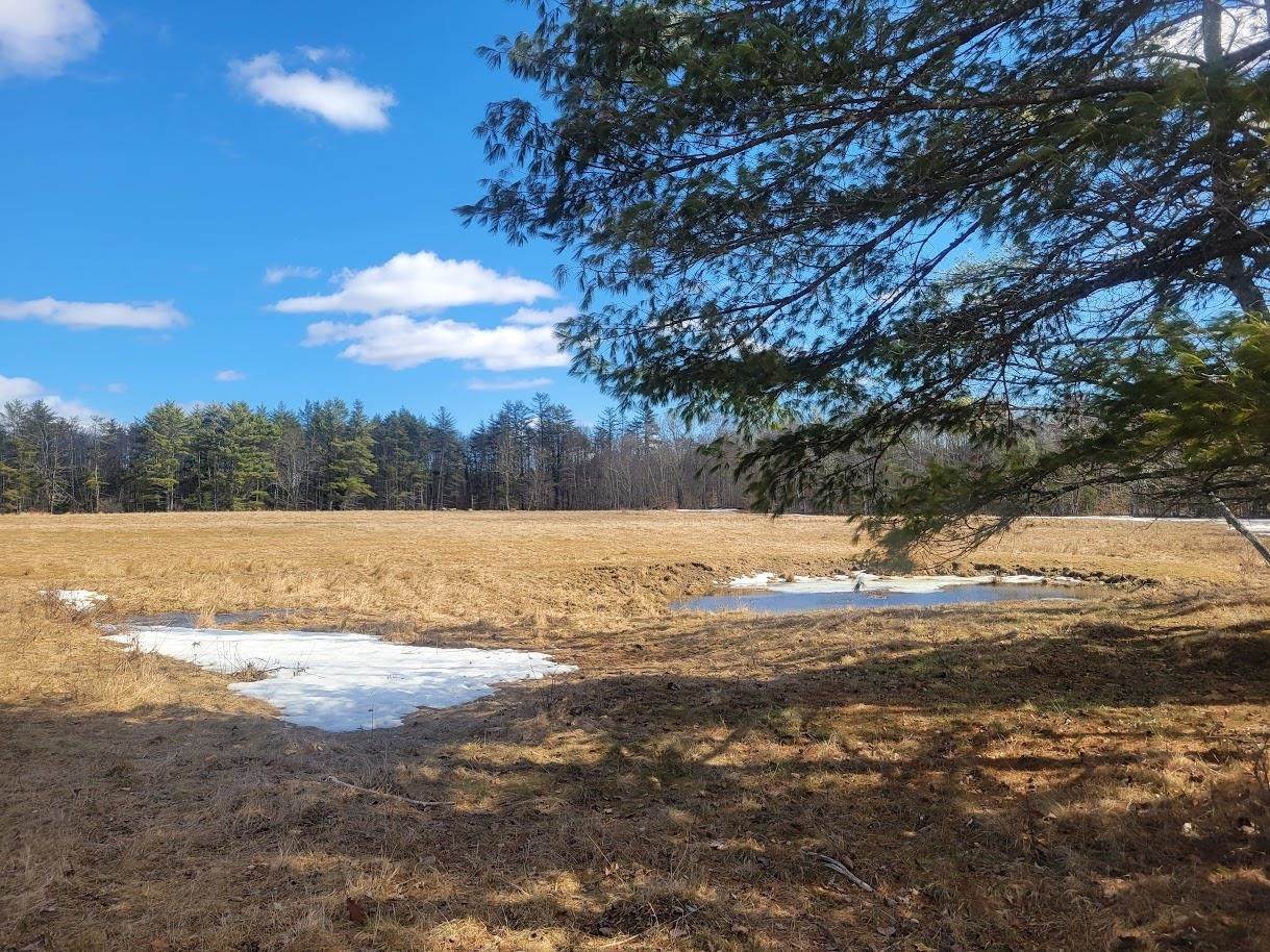446B Province Road - Photo 1