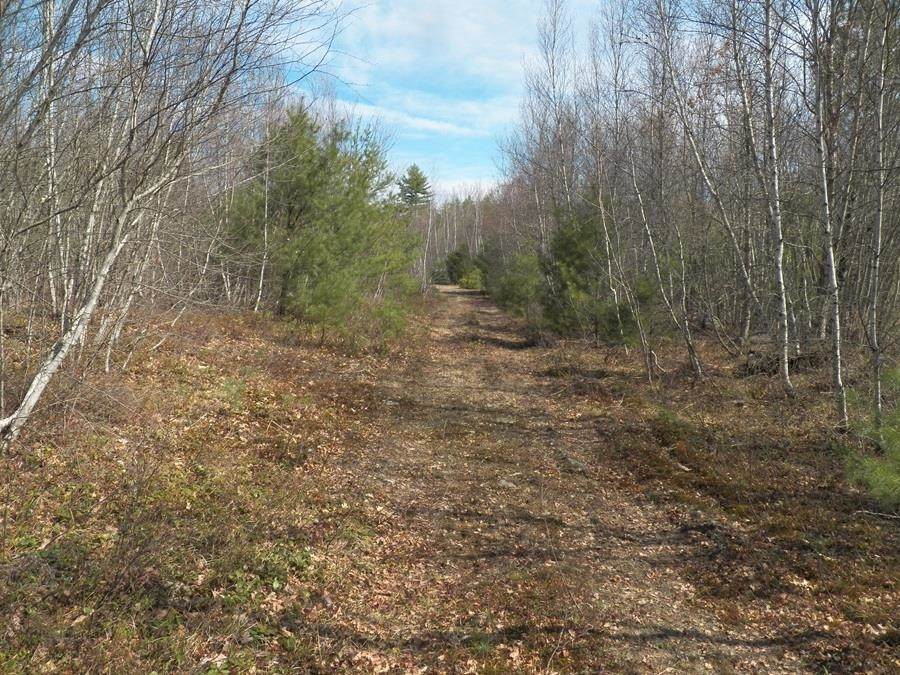 988 Dover Road - Photo 1