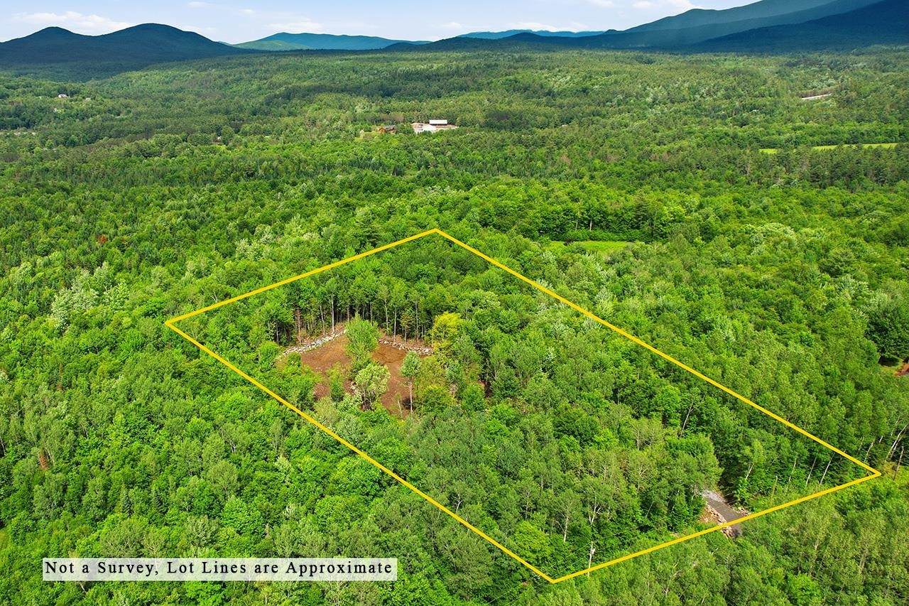 Lot 9 Old County Road - Photo 1
