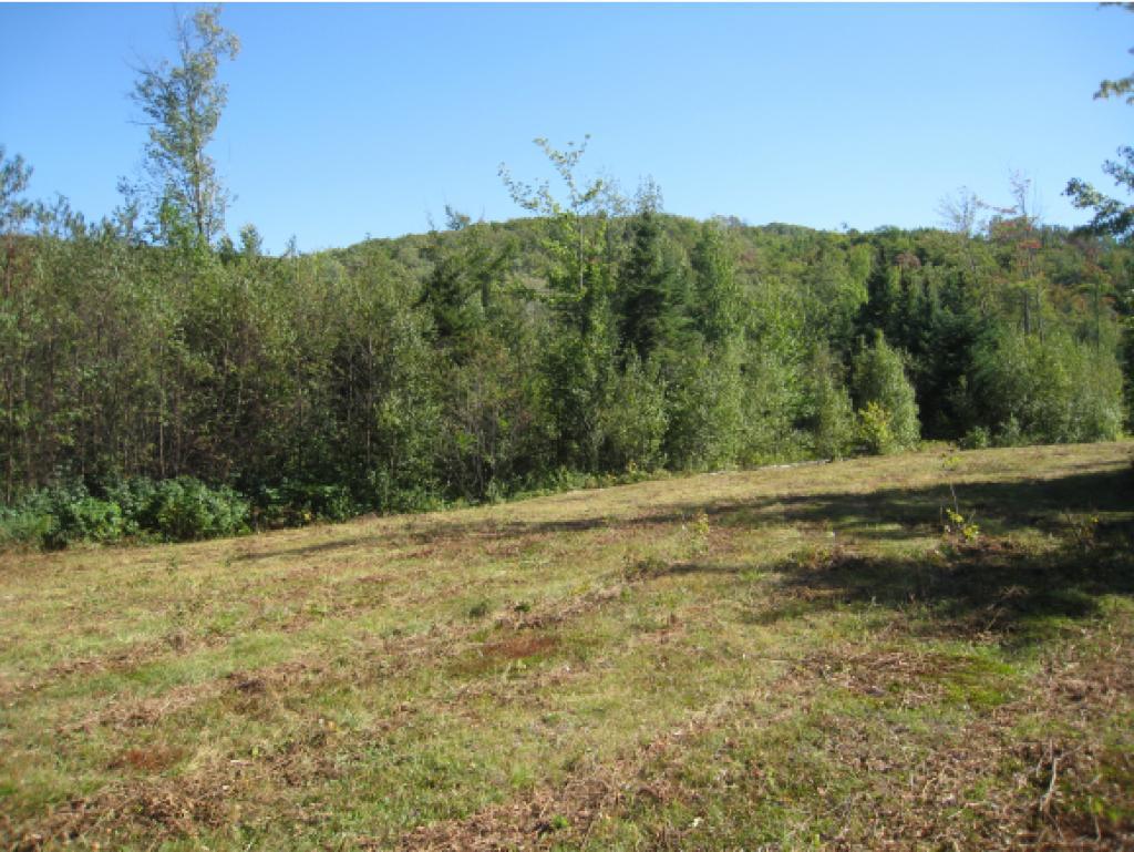 Lot 4 East Haven (Vt-114) Road - Photo 1