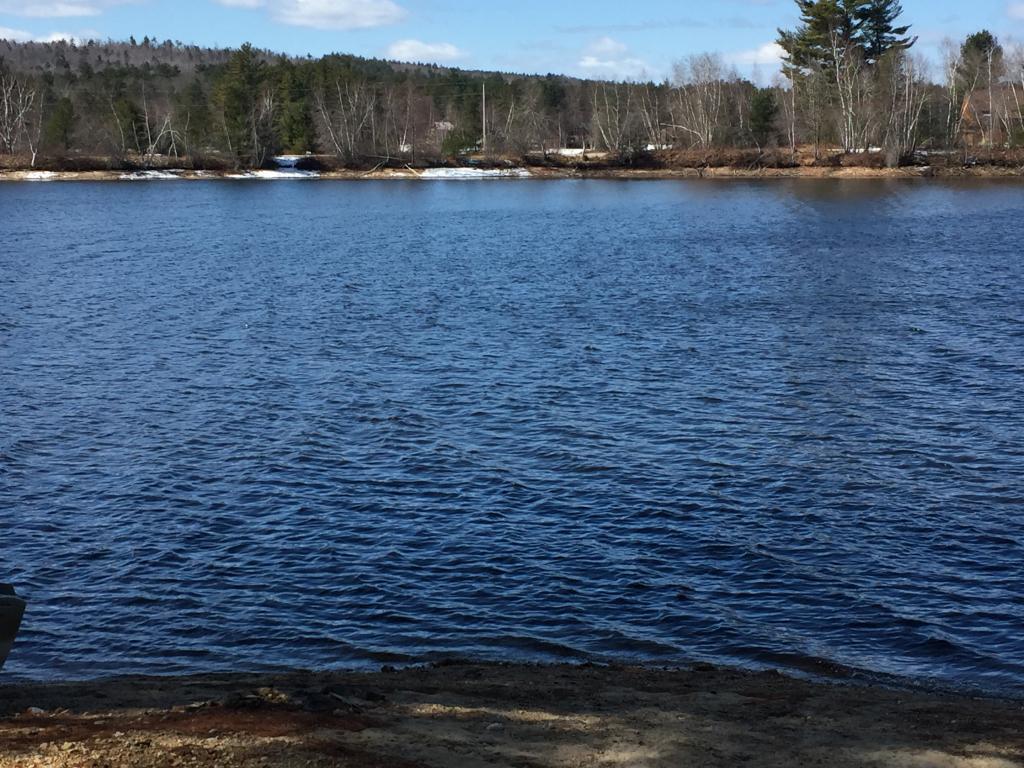 Lot 19 Province Lake Road - Photo 1