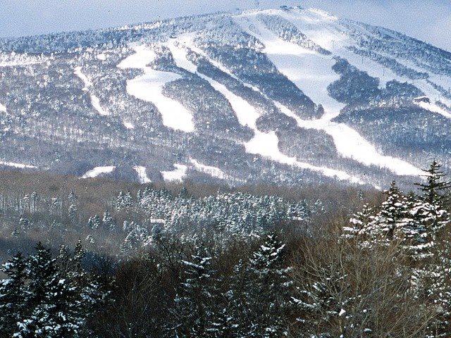 25 Sundance Village Loop - Photo 1