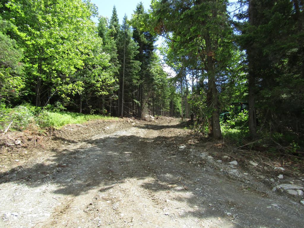 3 Bear Rock Way - Photo 1