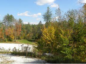 Route 100 North Lot 8 - Photo 1