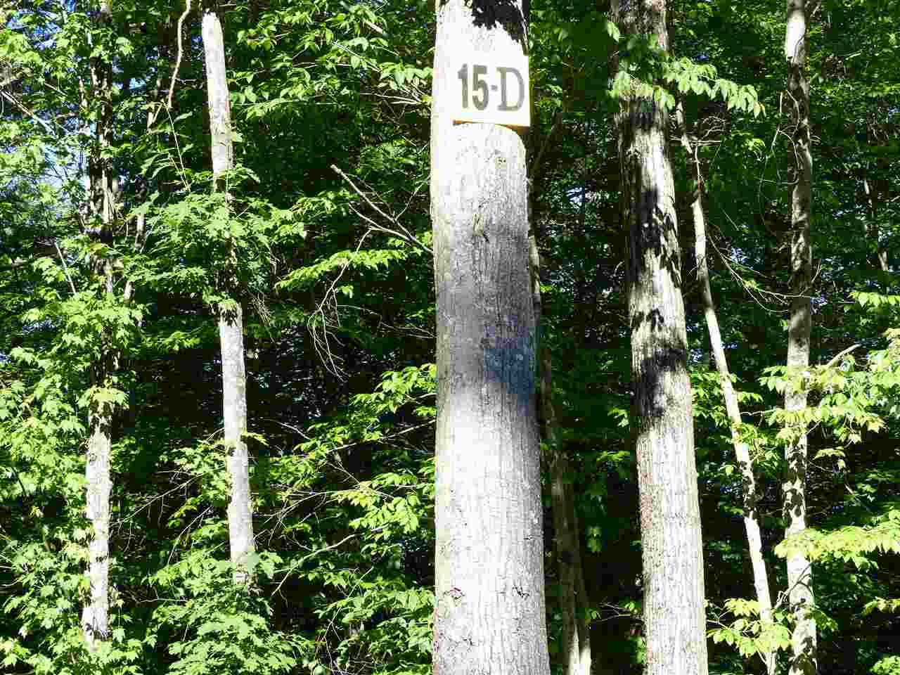 15 D Buzzell Ridge Road - Photo 1
