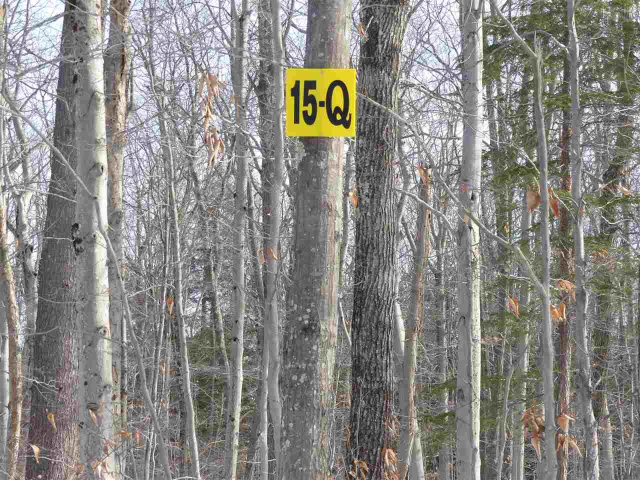 15 Q Buzzell Ridge Road - Photo 1
