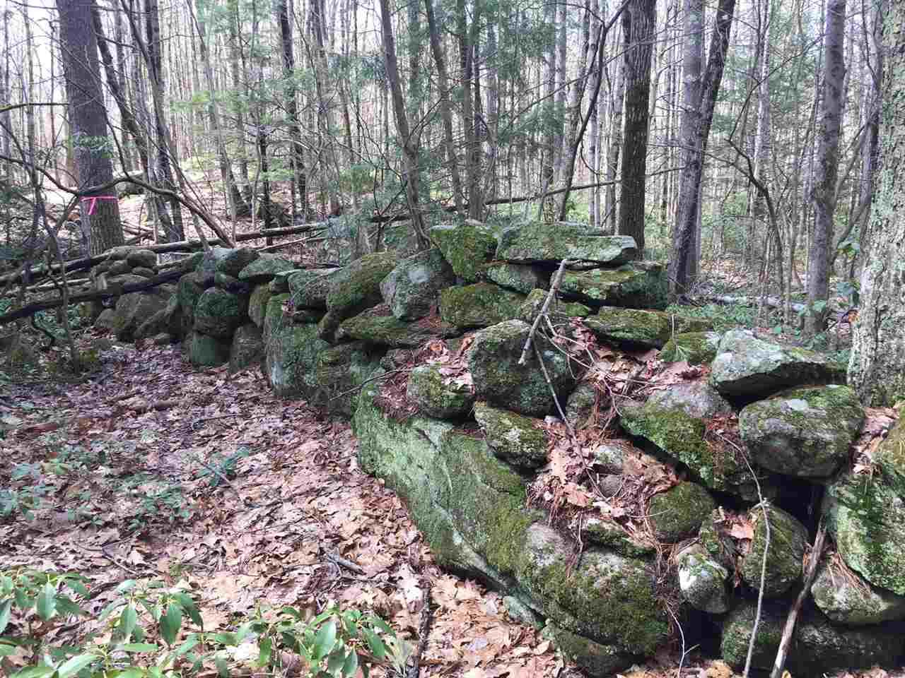 300 Route 13 Road - Photo 1