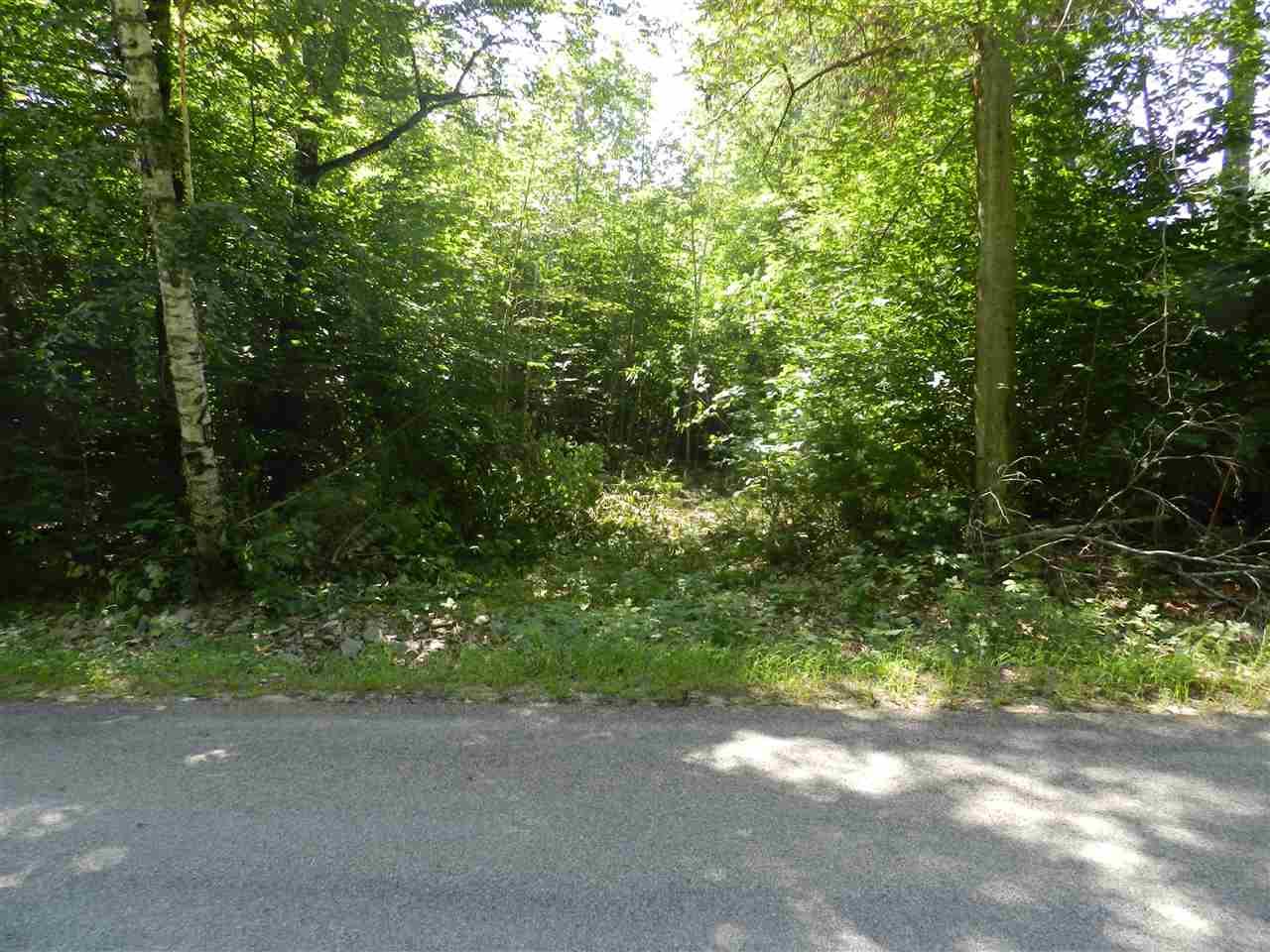 Map 23 Lot 43 Northeast Pond Road - Photo 1