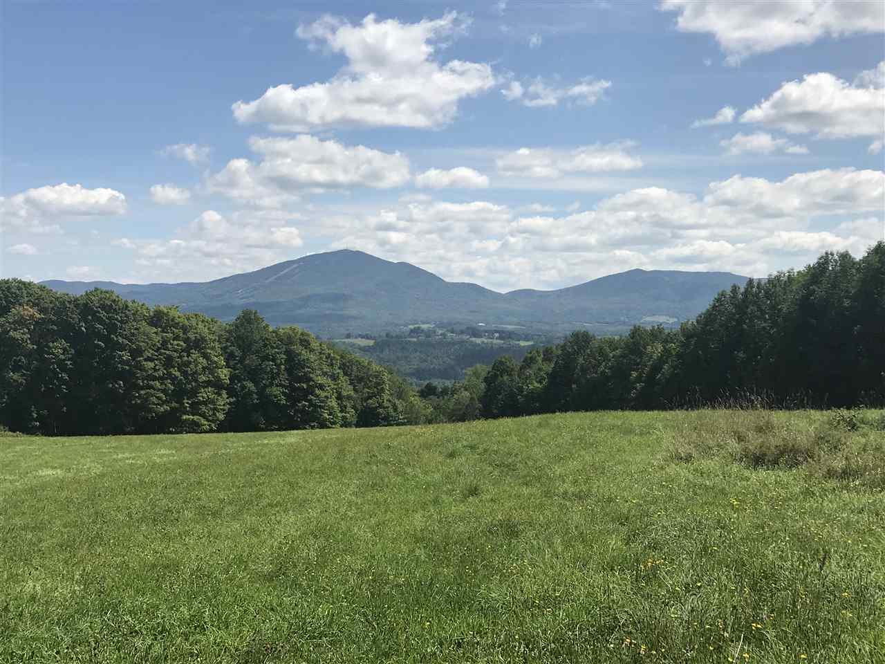 4090 Pudding Hill Road - Photo 1