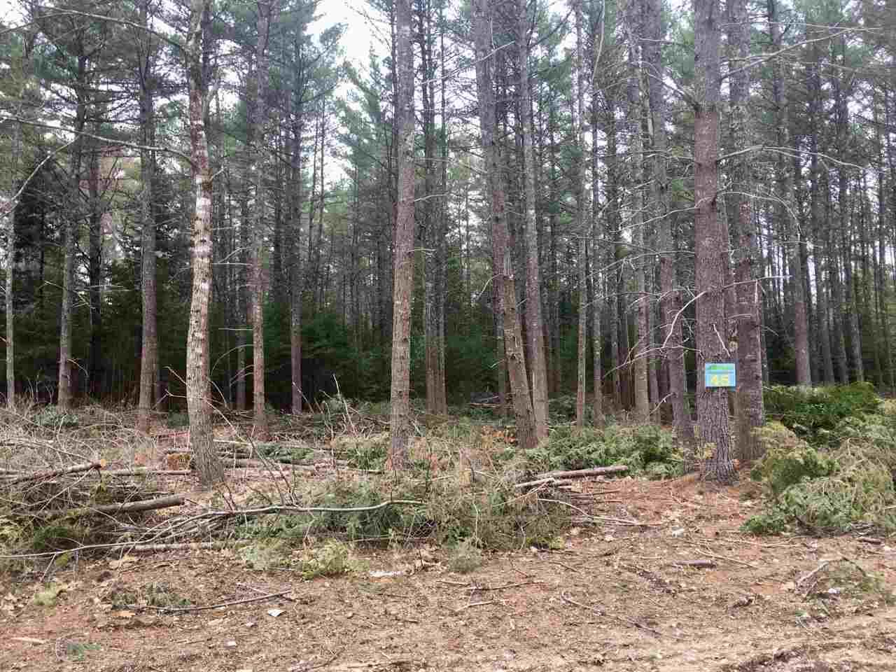 45 Winchester Drive - Photo 1