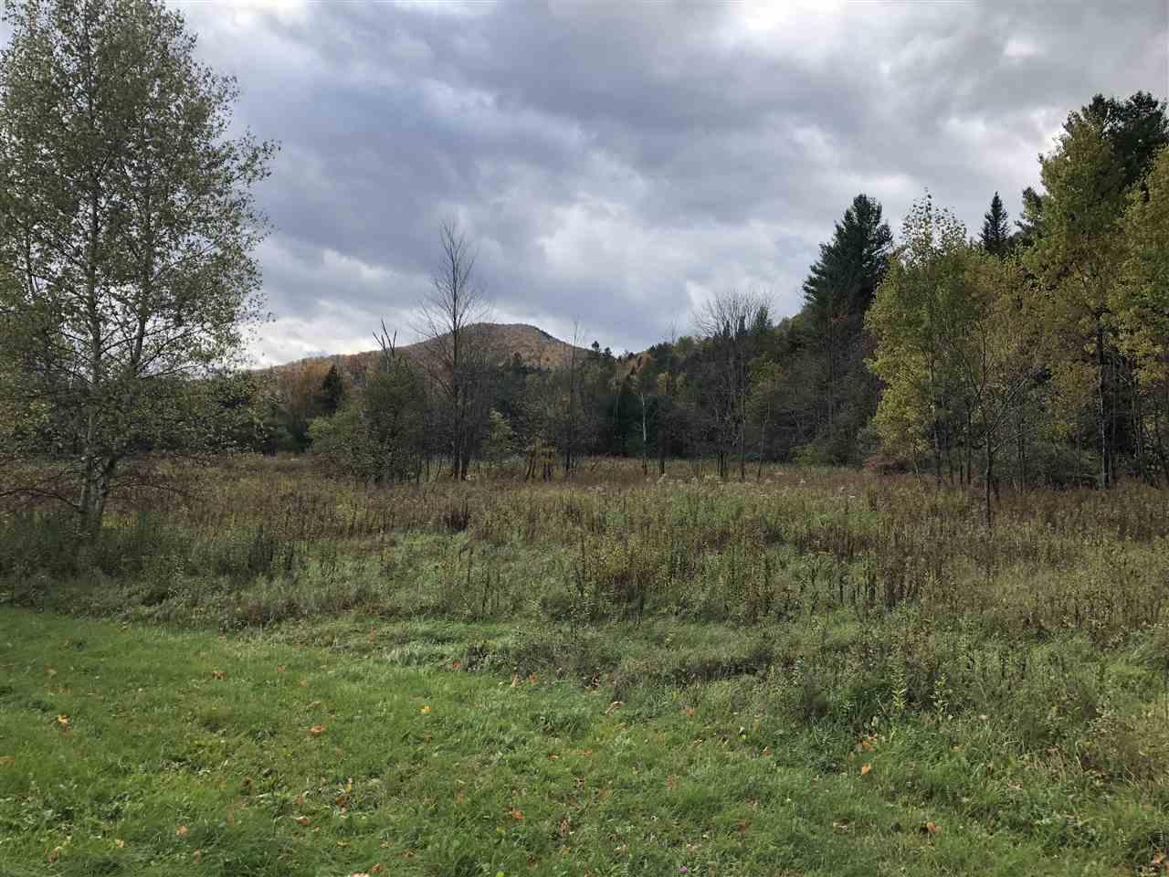 1094 Vt Rte 100 Highway - Photo 1