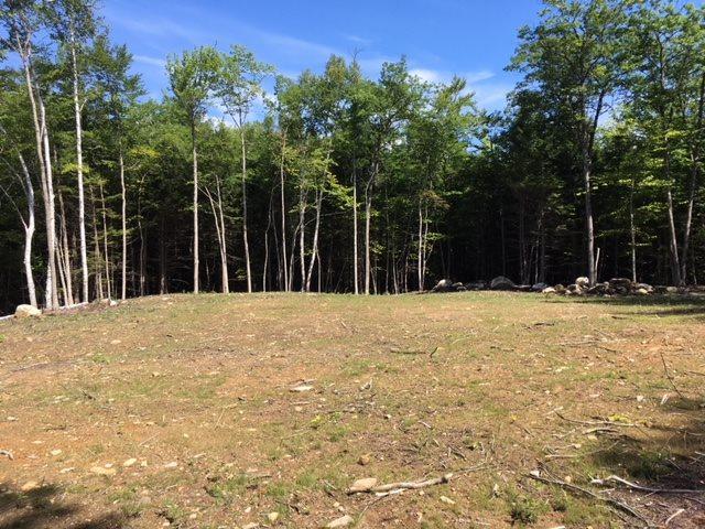 00 Cross Country Lane - Photo 1